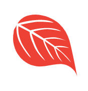 icon picture red