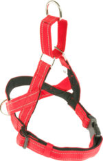 ⁦רתמה  SMART מחזירה אור מרופדת PetsProject⁩ – תמונה ⁦2⁩