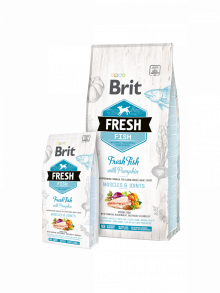 בריט פרש כלב בוגר גזע גדול עוף דגים ודלעת 12 ק”ג Brit Fresh