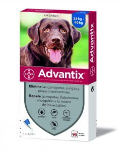 אדוונטיקס אמפולות לכלב נגד פרעושים וקרציות לכלבים גדולים 25 + ק”ג Advantix