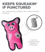 ⁦חזרזיר בלתי מנוצח Outward⁩ – תמונה ⁦4⁩