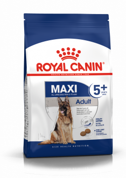 רויאל קנין לכלב מקסי 5+ (מאצ'ור) 15 ק"ג Royal Canin