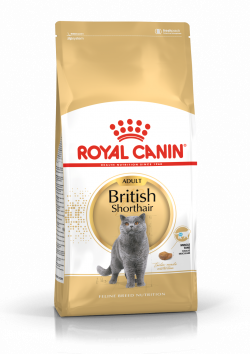 רויאל קנין בריטי 4 ק"ג Royal Canin