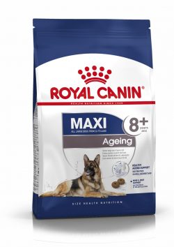 רויאל קנין לכלב מקסי 8+ (אייג'ינג) 15 ק"ג Royal Canin