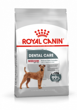 רויאל קנין דנטל קייר 6 ק”ג Royal Canin