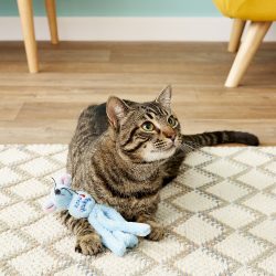 ⁦קונג וובה עכבר לחתול Kong⁩ – תמונה ⁦2⁩