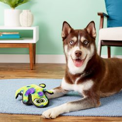 ⁦שממית בלתי מנוצחת ירוקה Outward⁩ – תמונה ⁦2⁩