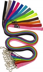 רצועה לכלב בייסיק כפולה 2.5 ס"מ Petsprojects