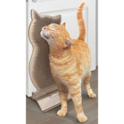 ⁦קונג קונקטס קיטי קומבר - KONG⁩ – תמונה ⁦2⁩