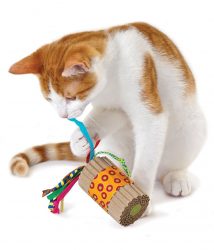 ⁦גליל גירוד לחתול Petstages⁩ – תמונה ⁦2⁩