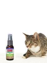 ⁦ספריי קטניפ Kong⁩ – תמונה ⁦2⁩