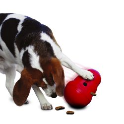 ⁦קונג וובלר לכלב גדול KONG⁩ – תמונה ⁦2⁩