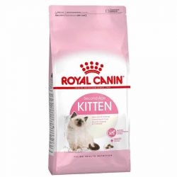 רויאל קנין לגורי חתולים 10 ק”ג Royal Canin
