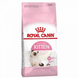 רויאל קנין לגורי חתולים 10 ק"ג Royal Canin