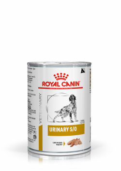 Royal canin יורינרי שימורים לכלב 410 גרם