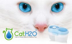 ⁦HO2 מזרקת מים עם אבן פלואוריד⁩ – תמונה ⁦2⁩