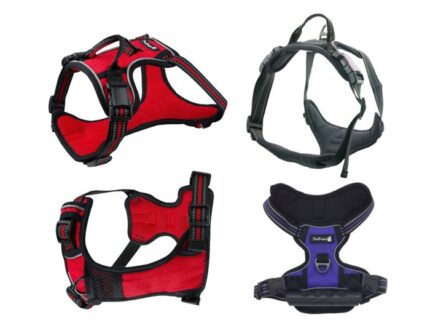 רתמת פרפקט PetsProject PERFECT M