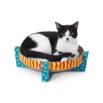 ⁦קרטון גירוד וכירבול לחתול Petstages⁩ – תמונה ⁦2⁩