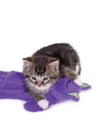 ⁦בובת חתול מגרגר לחתול Petstages⁩ – תמונה ⁦2⁩