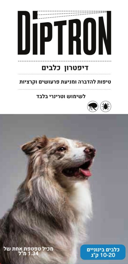 דיפטרון אמפולה לכלב לטיפול בפרעושים וקרציות בכלבים  10-20 ק”ג יחידה בודדת Diptron