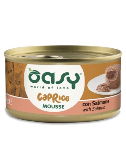 אואסי מעדן מוס סלמון  85 גרם Oasy MOUSSE