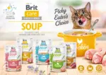 ⁦בריט קר מרק לחתול סלמון 75 גרם Brit Care SOUP⁩ – תמונה ⁦2⁩