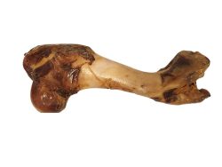 עצם טבעית ירך חזיר