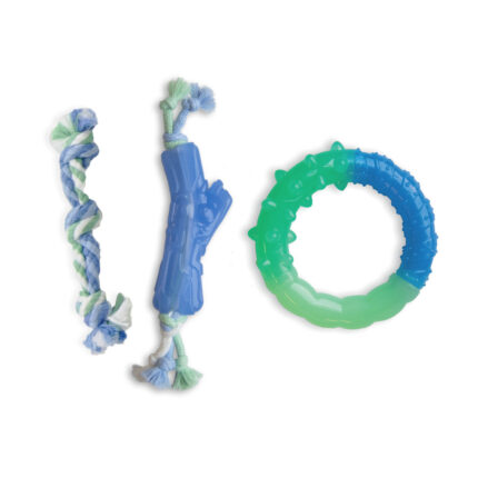 ערכת לעיסה 3 ב-1 גורים Petstages