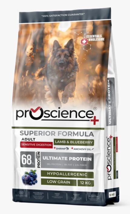 פרו סיינס לכלב בוגר כבש ואוכמניות 12 ק"ג Pro Science