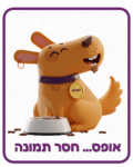 מוצר טסט