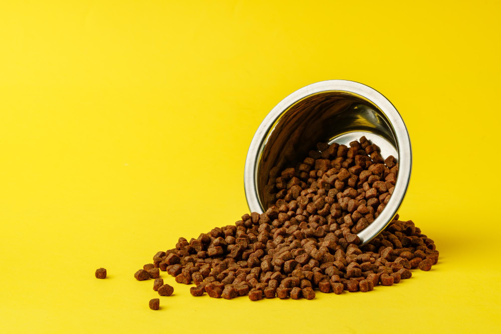 מזון לכלבים | אוכל לכלבים | אוכל כלב | אוכל כלבים | מזון יבש לכלבים - ג'ונגל קלאב