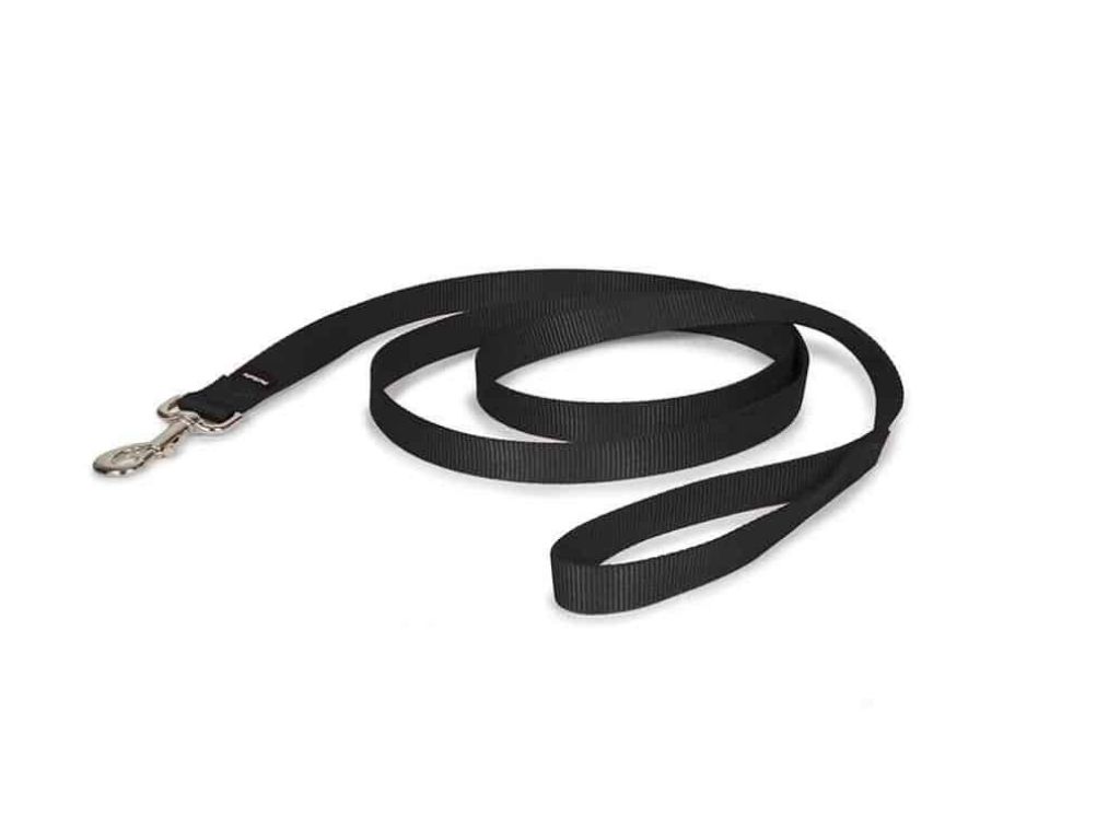 649870161925 רצועת בד בייסיק כפולה 2.5 מטר לכלבים L – תמונה 1