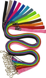 רצועת בד בייסיק כפולה לכלבים XL