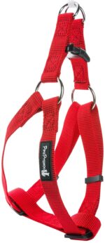 ⁦רתמת בד בייסיק S⁩ – תמונה ⁦11⁩