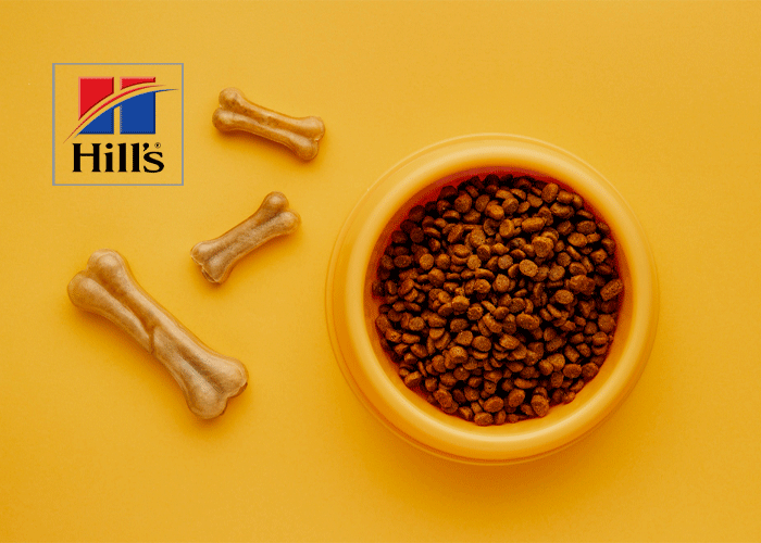 אוכל לכלבים הילס | אוכל לכלבים hills | אוכל לכלבים | מזון יבש לכלבים - ג'ונגל קלאב