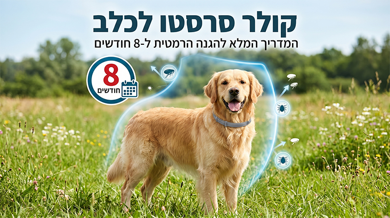 קולר סרסטו לכלב, ג'ונגל, ג'ונגל קלאב, ג'ונגל קלאב עפולה, טיפול בפרעושים לכלבים, טיפול נגד פרעושים לכלב, טיפול פרעושים לכלב, כדור לכלבים נגד פרעושים, כדור נגד פרעושים וקרציות, כדור נגד פרעושים לכלבים, כדור נגד פרעושים לכלבים מחיר, כדור פרעושים לכלב, כדורים לכלבים נגד פרעושים וקרציות, נגד פרעושים לכלבים, סרסטו לכלב, פרעושים כלב, פרעושים לכלב, פרעושים לכלב טיפול טבעי, קולר סרסטו לכלב, קולר סרסטו לכלב מחיר - ג'ונגל קלאב