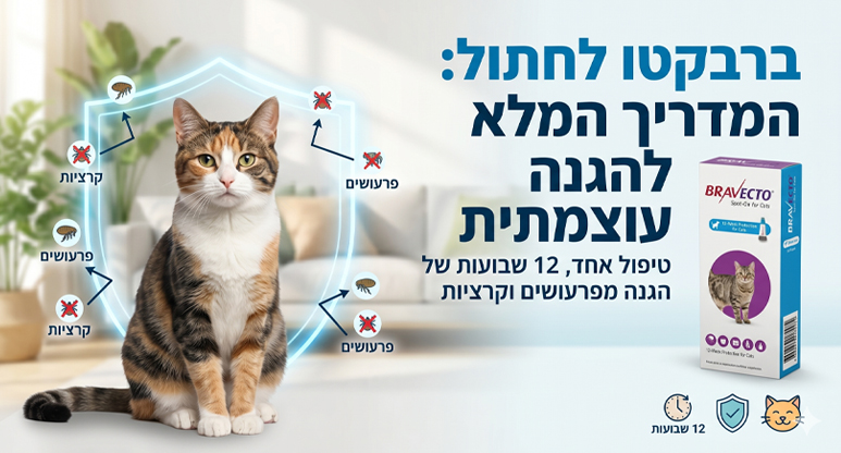 ברבקטו לחתול | ברבקטו לחתול מחיר | ברבקטו לחתולים | טיפול בפרעושים וקרציות לחתולים - ג'ונגל קלאב