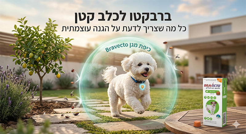 ברבקטו לכלב קטן | ברבקטו לכלב | נגד פרעושים לכלבים | כדור נגד קרציות לכלבים | פרעושים לכלב טיפול טבעי | טיפול נגד פרעושים לכלב | כדור לכלבים נגד פרעושים | כדור ברבקטו לכלבים | פרעושים כלב - ג'ונגל קלאב