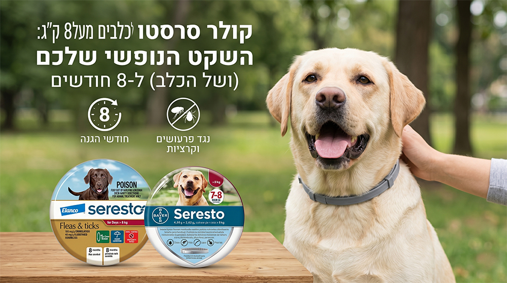 קולר סרסטו לכלבים מעל 8 ק"ג | סרסטו לכלב | קולר סרסטו לכלב | קולר סרסטו לכלב מחיר | טיפול בפרעושים וקרציות לכלב - ג'ונגל קלאב