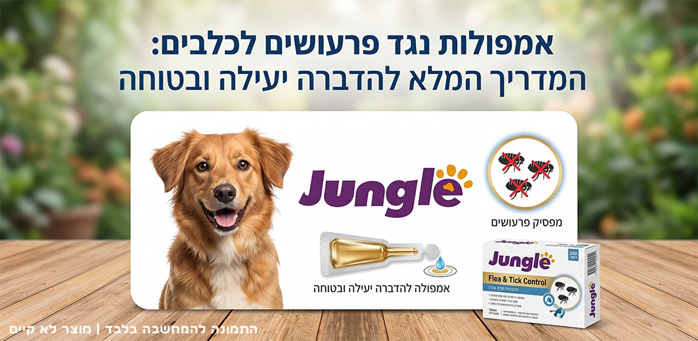 אמפולה לכלב | כדור נגד פרעושים | טיפול בפרעושים לכלב | אמפולות לכלב | ברבקטו לכלב - ג'ונגל קלאב