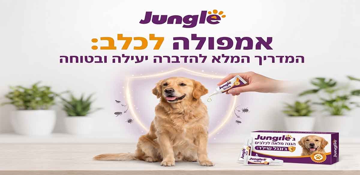 אמפולה לכלב | כדור נגד פרעושים | טיפול בפרעושים לכלב | אמפולות לכלב | ברבקטו לכלב - ג'ונגל קלאב