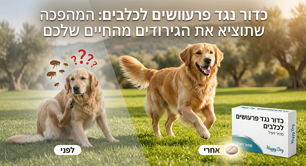 כדור נגד פרעושים לכלבים