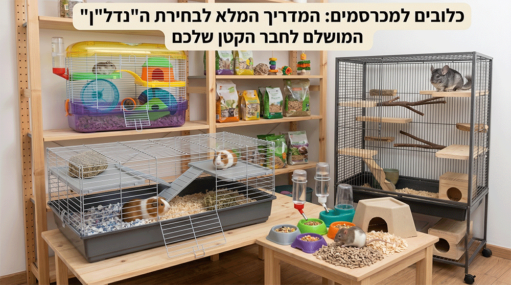 כלובים למכרסמים: בחירת הכלוב המושלם לחבר הקטן שלכם | ג'ונגל קלאב